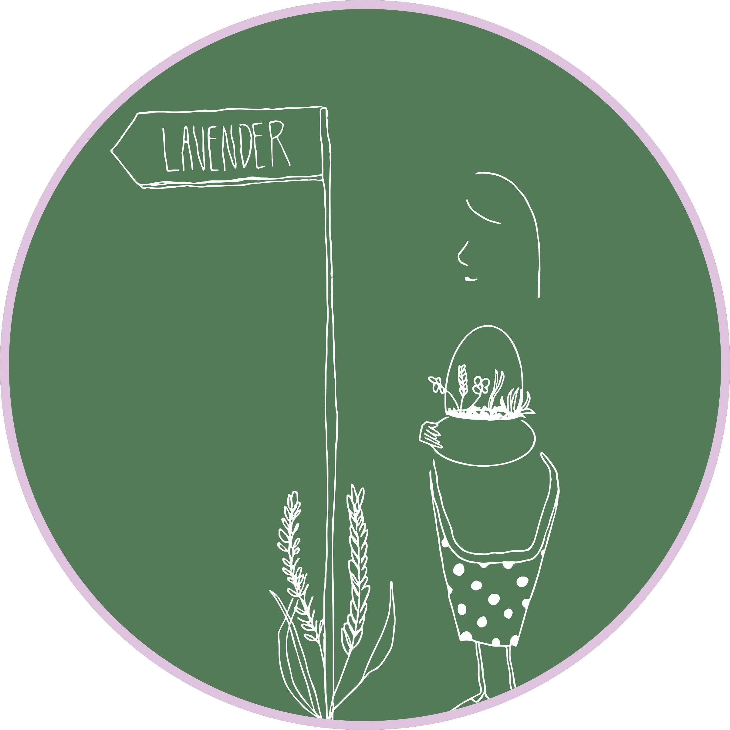 Lavender — ilustração botânica